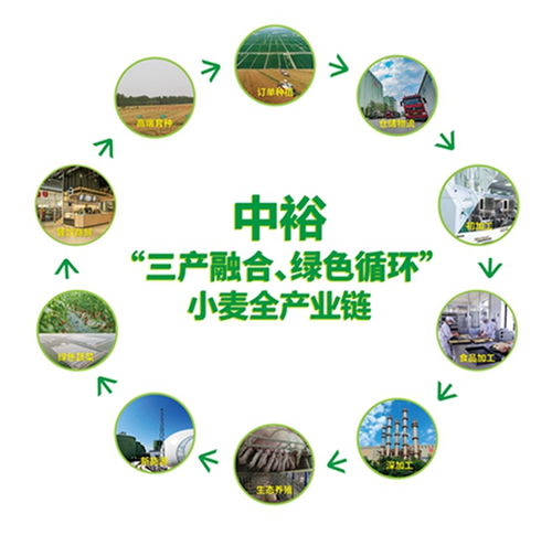 山東濱州 向綠向新，探索餐飲服務業高質量發展新路徑